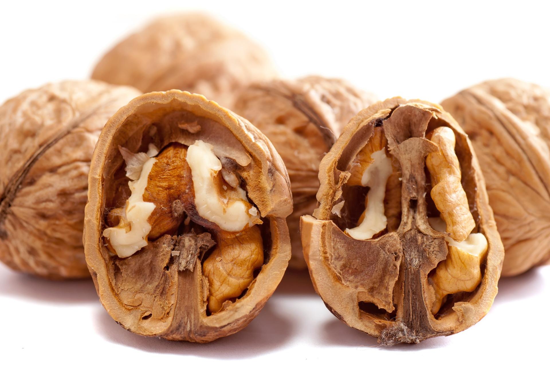 Dreaming About Walnuts Unraveling the Hidden Meaning