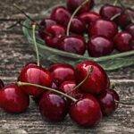 Cherry Dream Meaning