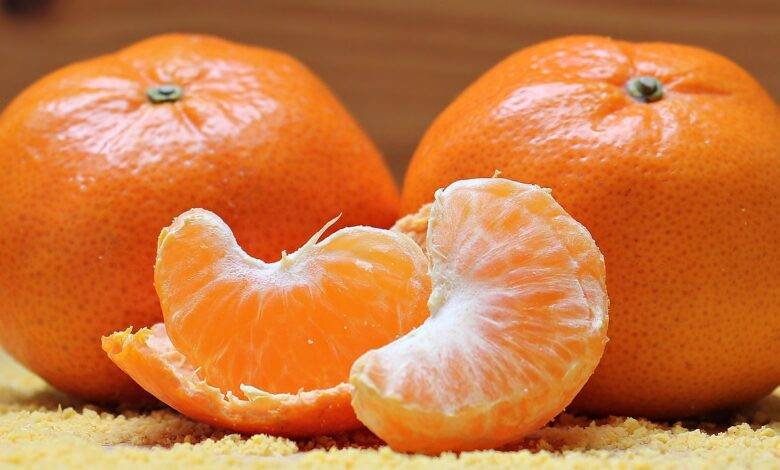 Tangerine Dream Meaning