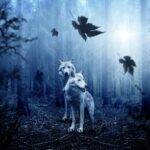Wolf Dream Meaning