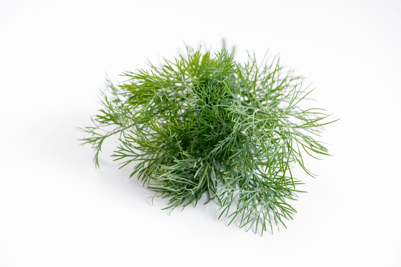 Dill Dream Meaning